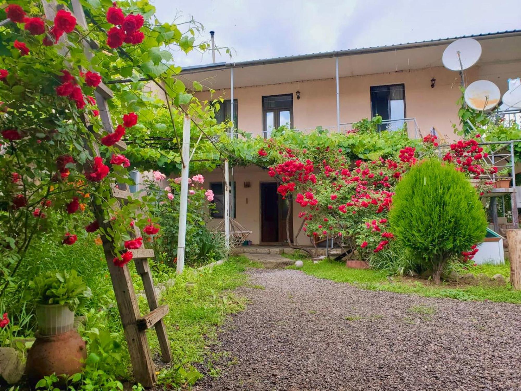 Guesthouse Mtkvari Nakalakevi Exteriér fotografie