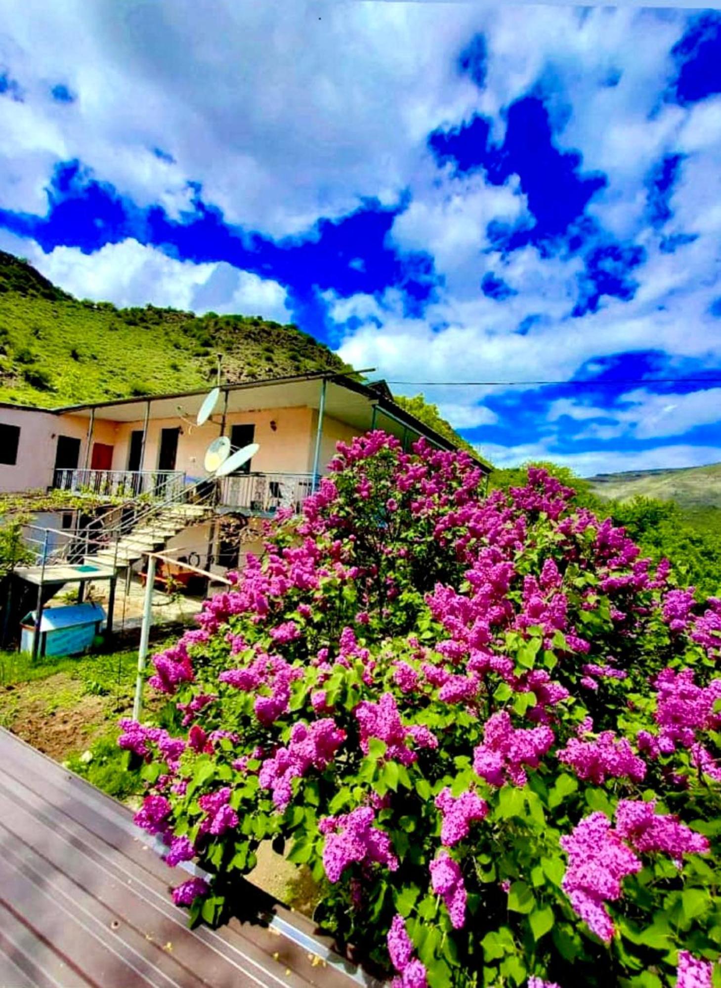 Guesthouse Mtkvari Nakalakevi Exteriér fotografie